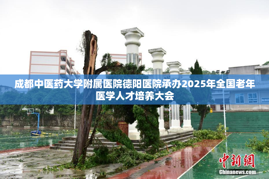 成都中医药大学附属医院德阳医院承办2025年全国老年医学人才培养大会