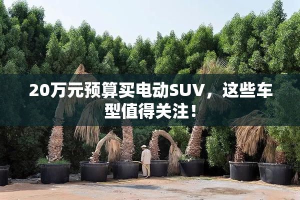 20万元预算买电动SUV，这些车型值得关注！