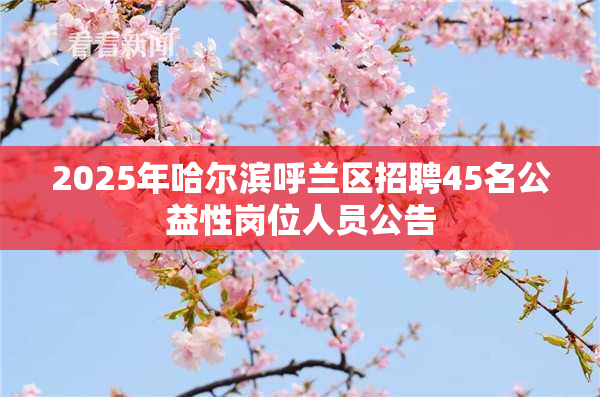 2025年哈尔滨呼兰区招聘45名公益性岗位人员公告