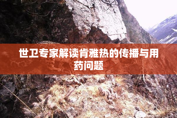 世卫专家解读肯雅热的传播与用药问题