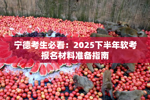 宁德考生必看：2025下半年软考报名材料准备指南