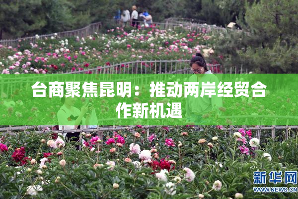 台商聚焦昆明：推动两岸经贸合作新机遇