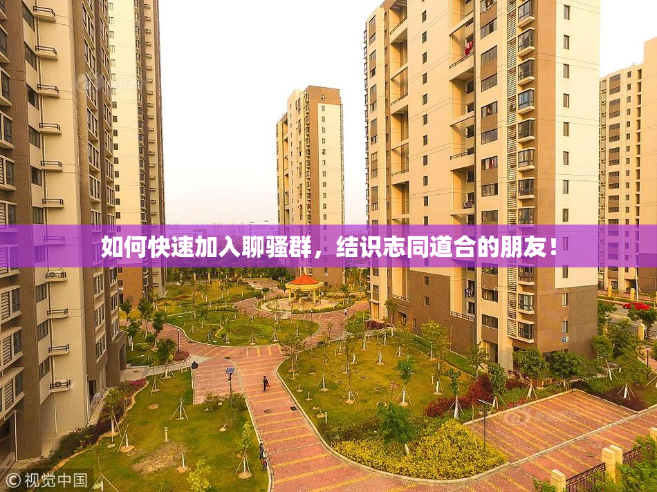 如何快速加入聊骚群，结识志同道合的朋友！
