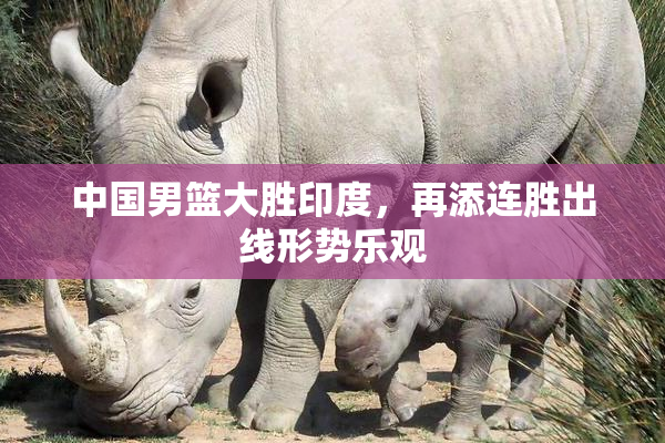 中国男篮大胜印度，再添连胜出线形势乐观
