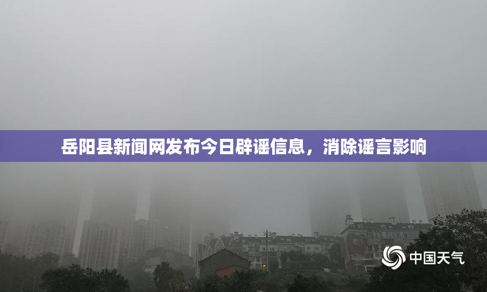 岳阳县新闻网发布今日辟谣信息，消除谣言影响