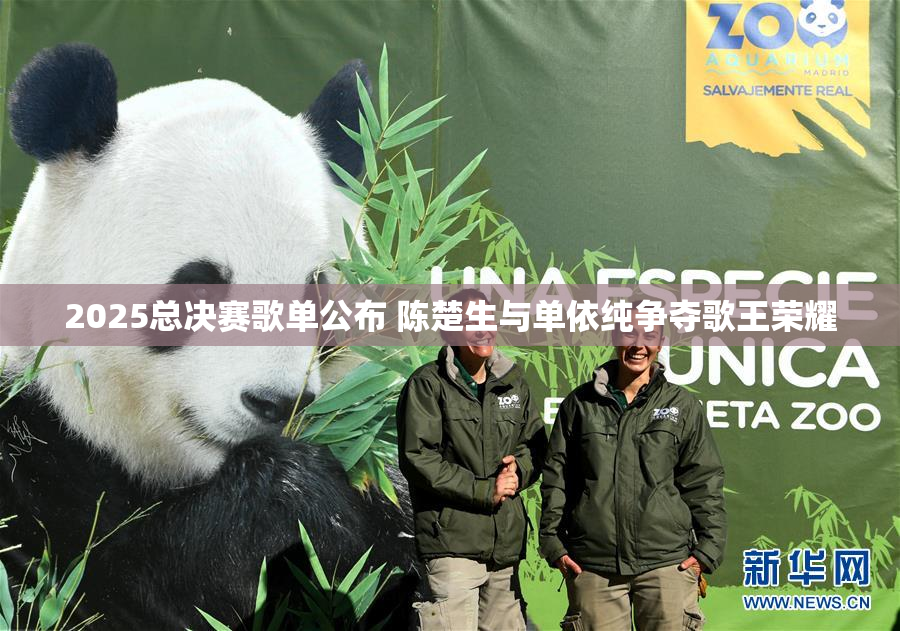 2025总决赛歌单公布 陈楚生与单依纯争夺歌王荣耀