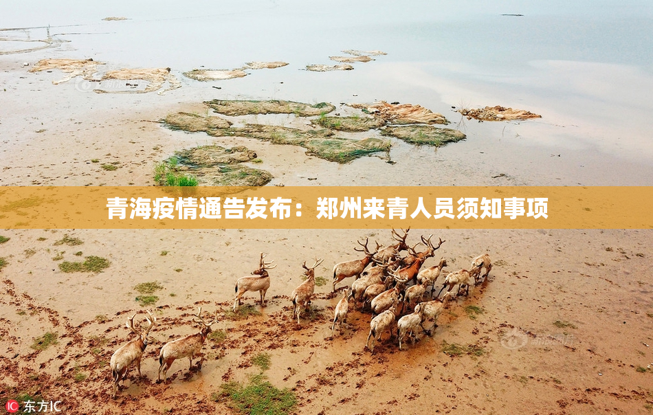 青海疫情通告发布：郑州来青人员须知事项