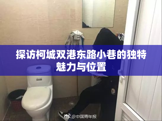 探访柯城双港东路小巷的独特魅力与位置