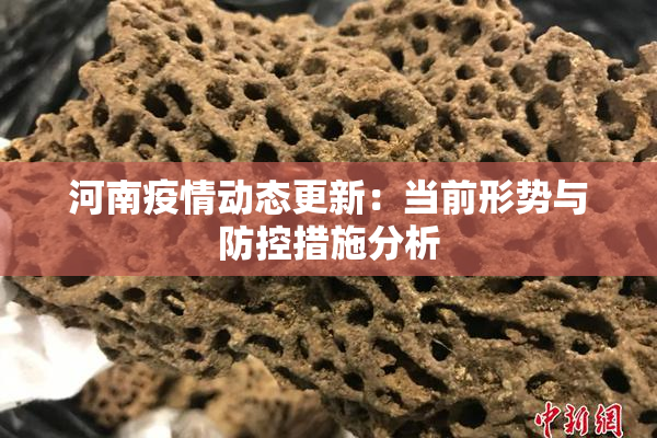 河南疫情动态更新：当前形势与防控措施分析