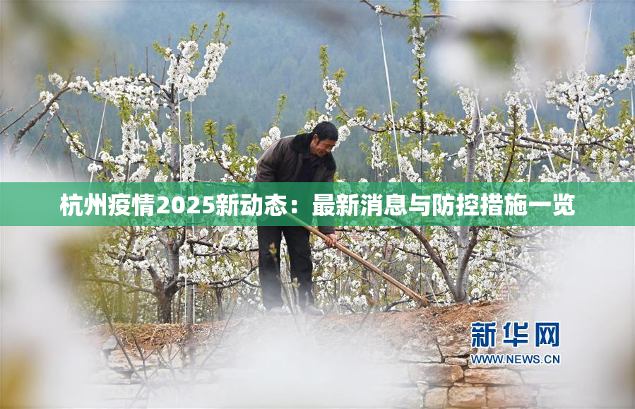 杭州疫情2025新动态：最新消息与防控措施一览