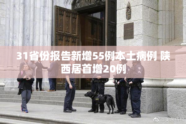 31省份报告新增55例本土病例 陕西居首增20例