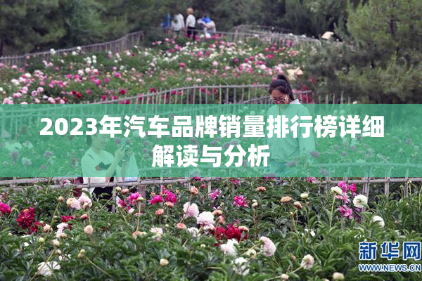 2023年汽车品牌销量排行榜详细解读与分析