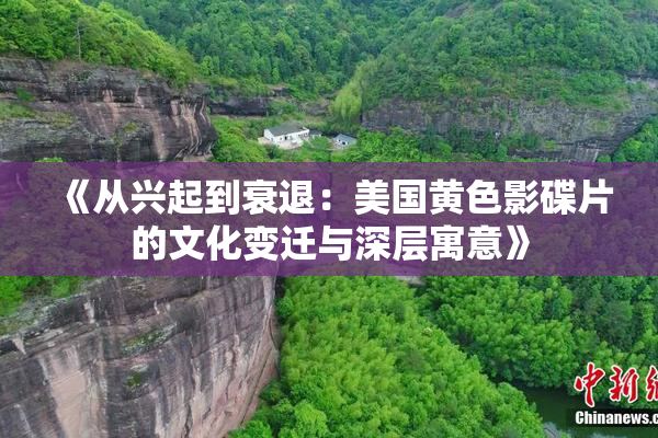 《从兴起到衰退：美国黄色影碟片的文化变迁与深层寓意》