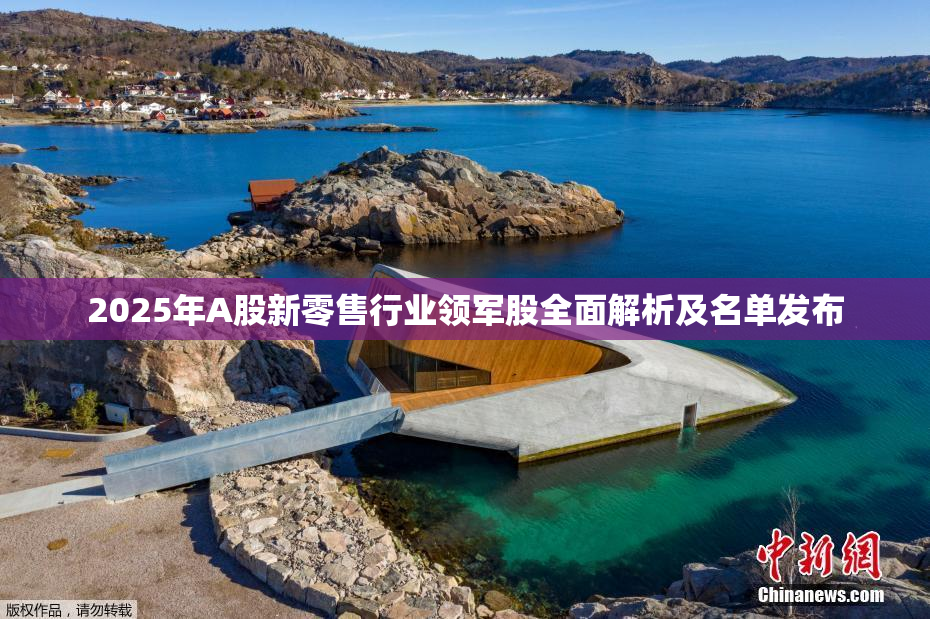 2025年A股新零售行业领军股全面解析及名单发布