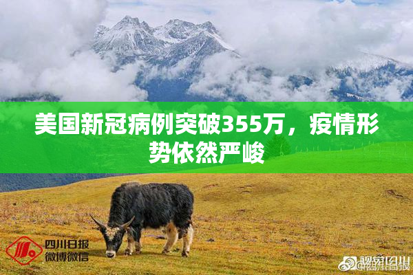 美国新冠病例突破355万，疫情形势依然严峻