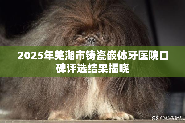 2025年芜湖市铸瓷嵌体牙医院口碑评选结果揭晓