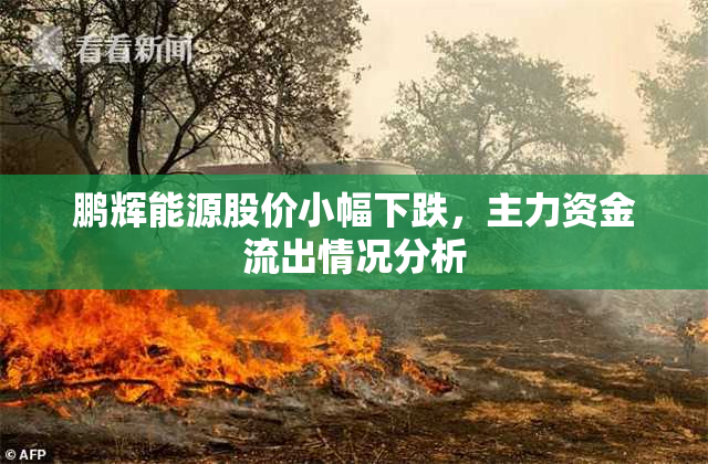 鹏辉能源股价小幅下跌，主力资金流出情况分析