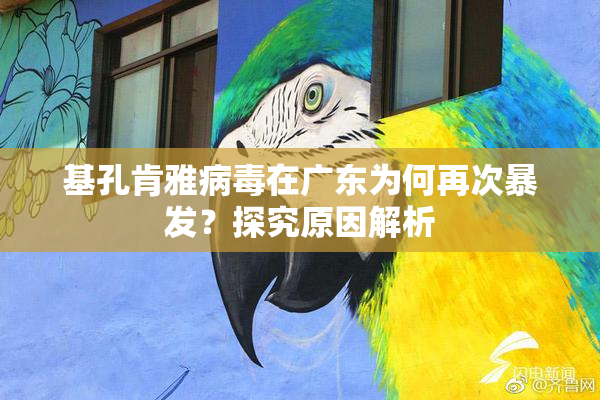 基孔肯雅病毒在广东为何再次暴发？探究原因解析