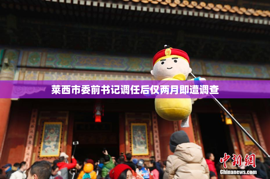 莱西市委前书记调任后仅两月即遭调查
