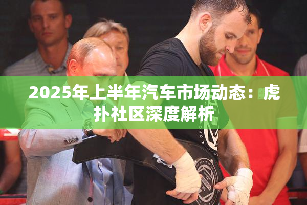 2025年上半年汽车市场动态：虎扑社区深度解析