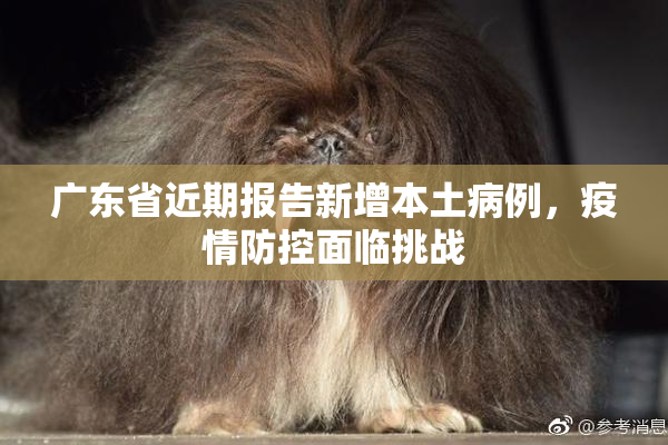 广东省近期报告新增本土病例，疫情防控面临挑战
