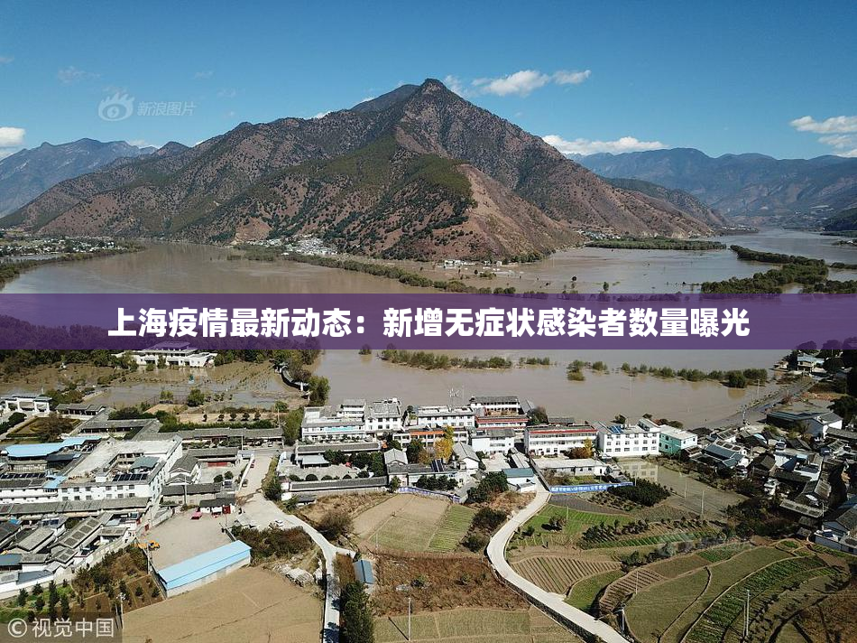 上海疫情最新动态：新增无症状感染者数量曝光