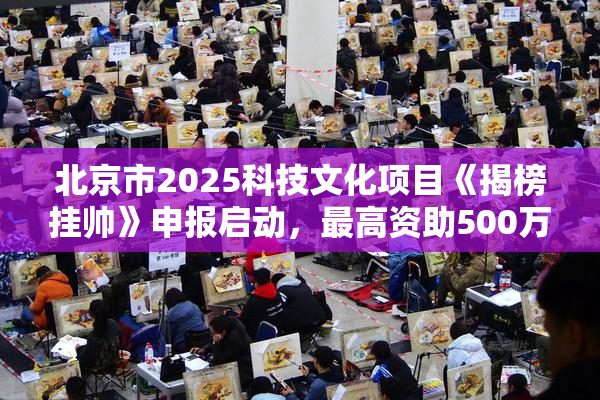 北京市2025科技文化项目《揭榜挂帅》申报启动，最高资助500万！