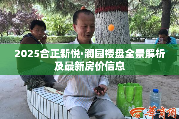 2025合正新悦·润园楼盘全景解析及最新房价信息