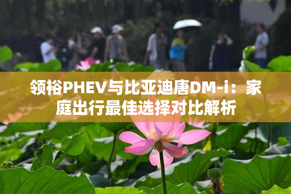 领裕PHEV与比亚迪唐DM-i：家庭出行最佳选择对比解析