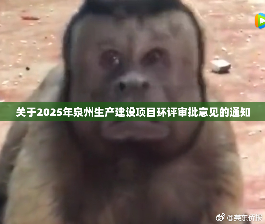 关于2025年泉州生产建设项目环评审批意见的通知