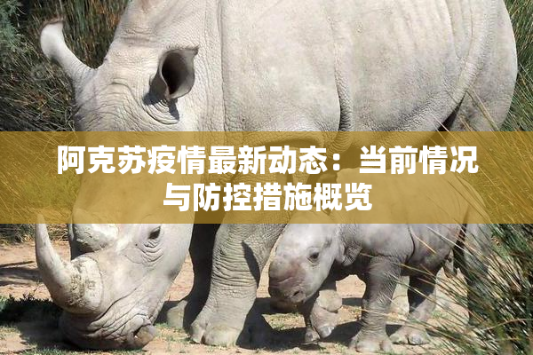阿克苏疫情最新动态：当前情况与防控措施概览