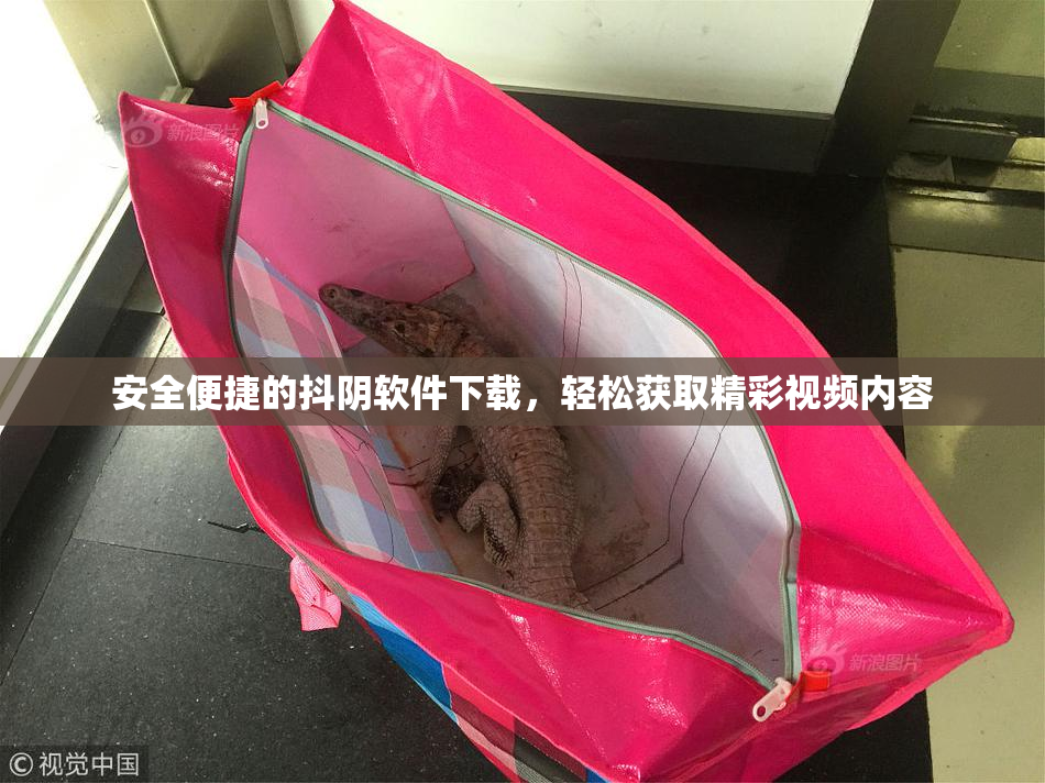 安全便捷的抖阴软件下载，轻松获取精彩视频内容