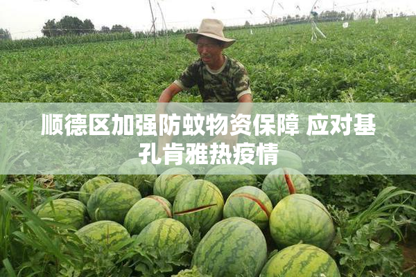 顺德区加强防蚊物资保障 应对基孔肯雅热疫情