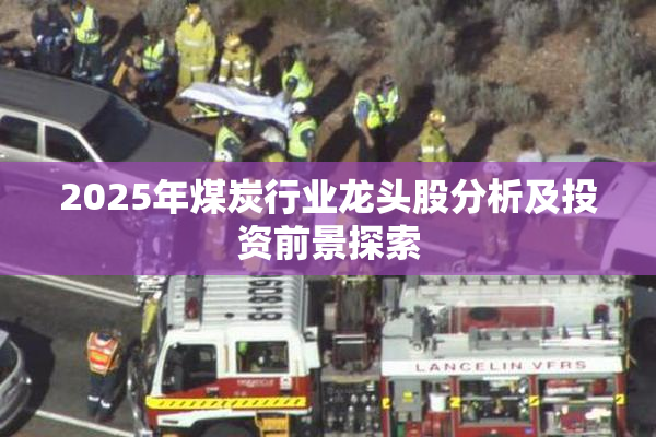 2025年煤炭行业龙头股分析及投资前景探索