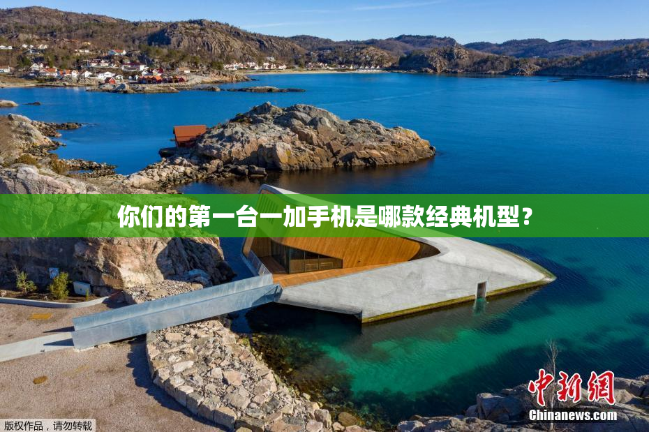 你们的第一台一加手机是哪款经典机型？