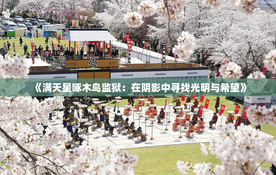 《满天星啄木鸟监狱：在阴影中寻找光明与希望》