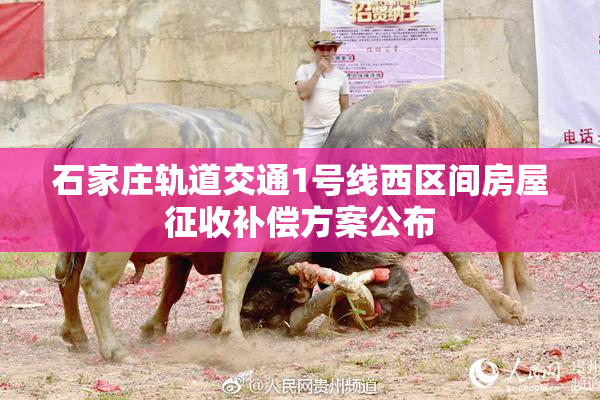 石家庄轨道交通1号线西区间房屋征收补偿方案公布