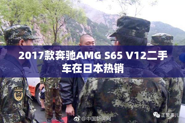 2017款奔驰AMG S65 V12二手车在日本热销