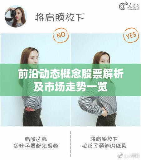 前沿动态概念股票解析及市场走势一览