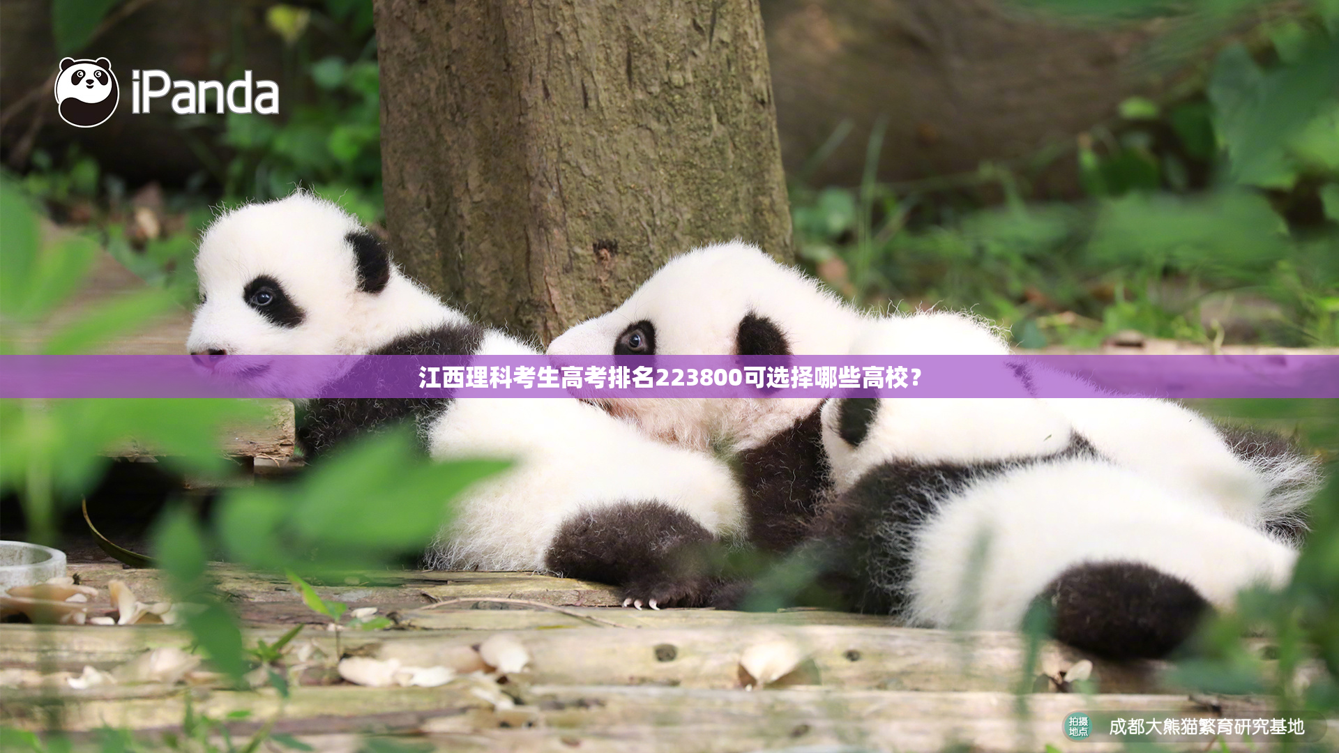 江西理科考生高考排名223800可选择哪些高校？