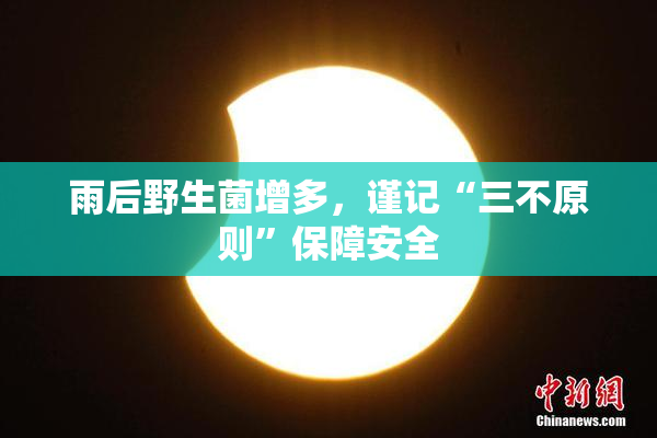 雨后野生菌增多，谨记“三不原则”保障安全