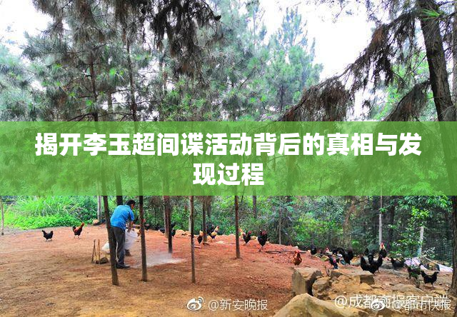 揭开李玉超间谍活动背后的真相与发现过程