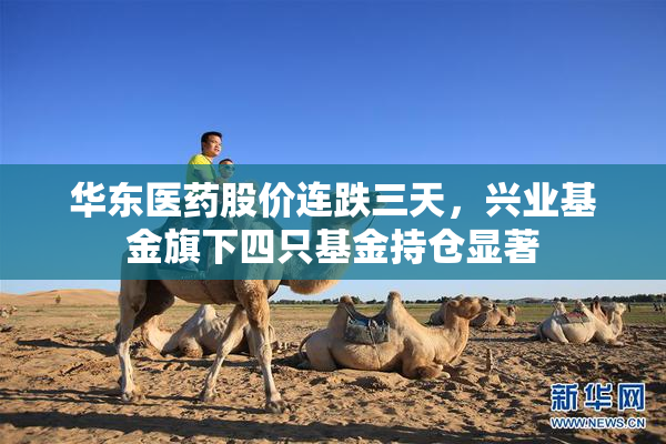 华东医药股价连跌三天，兴业基金旗下四只基金持仓显著