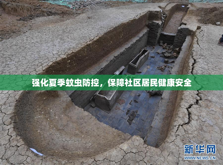 强化夏季蚊虫防控，保障社区居民健康安全