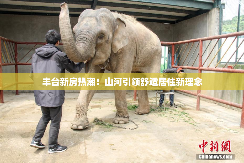 丰台新房热潮！山河引领舒适居住新理念
