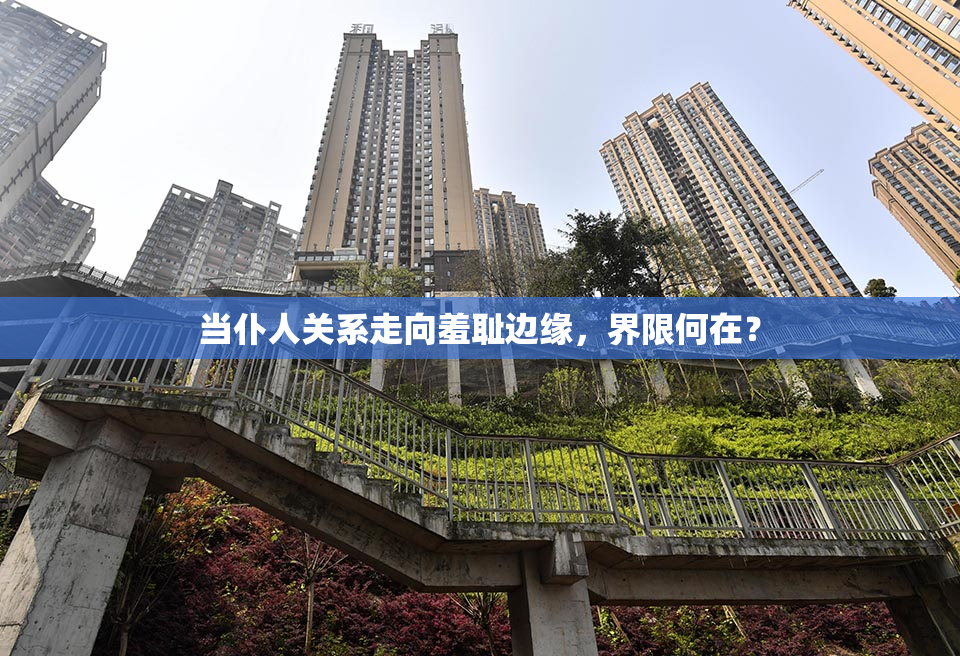 当仆人关系走向羞耻边缘，界限何在？