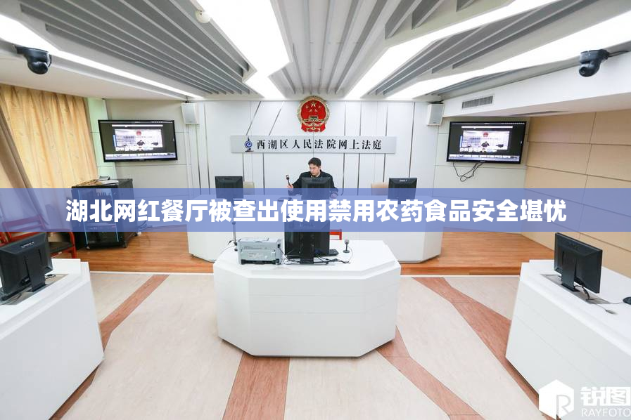 湖北网红餐厅被查出使用禁用农药食品安全堪忧