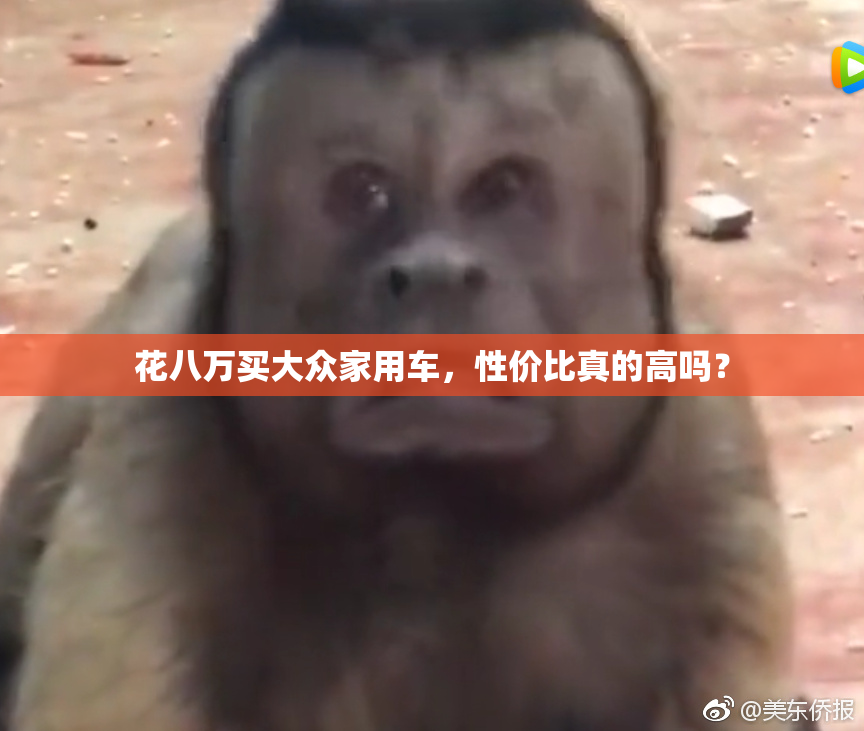 花八万买大众家用车，性价比真的高吗？