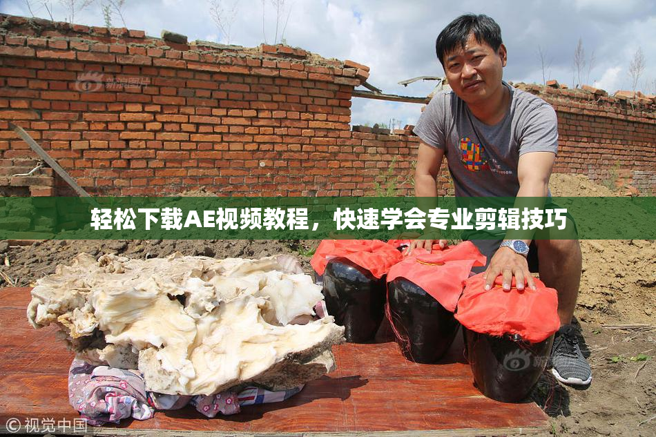 轻松下载AE视频教程，快速学会专业剪辑技巧