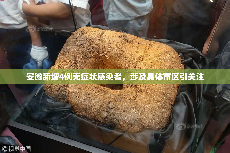 安徽新增4例无症状感染者，涉及具体市区引关注